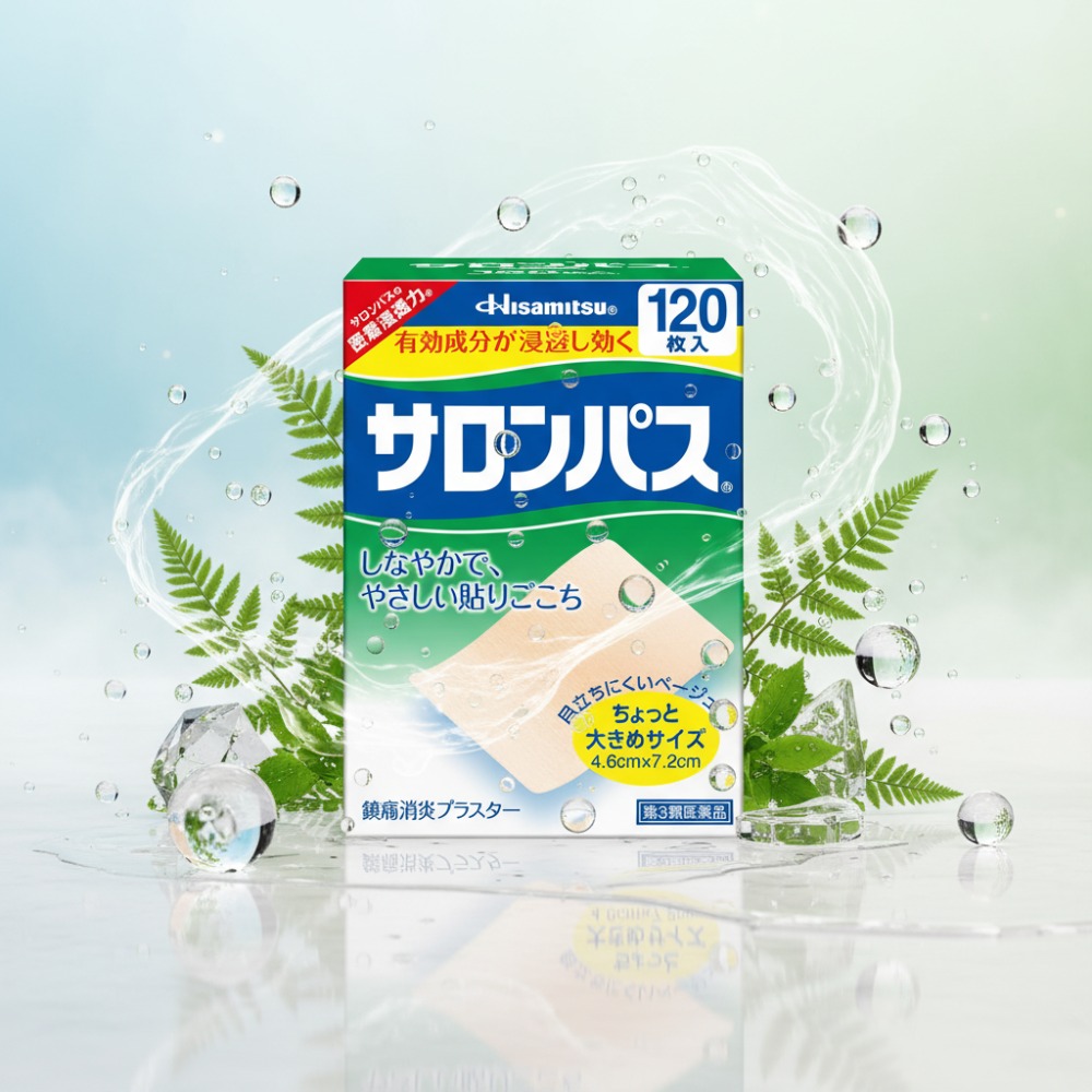 돈키호테 샤론파스