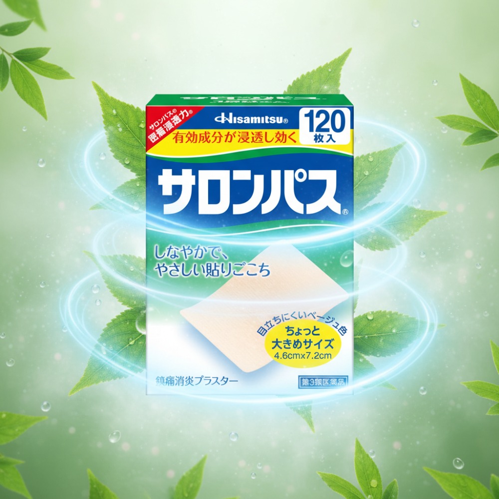 돈키호테 샤론파스